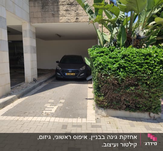 רכב חונה ליד שיחים ועצים ירוקים